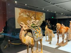 -陕西自然博物馆