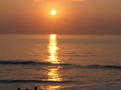 -日照世帆赛基地