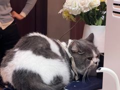 -Again Coffee Roaster(香蜜湖店)