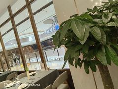 -新吉士·上海菜(浦东LCM置汇旭辉店)