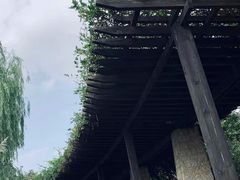 -长广溪湿地公园