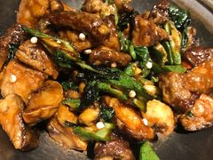 -素虎小呆鸟(西二旗店)