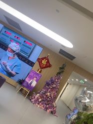 -上海伊莱美医疗美容医院