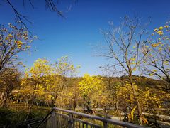 -碧桂园十里银滩