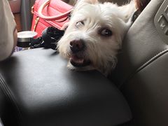 -柯达靓之彩影像网络(明瓦廊店)