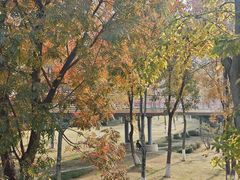 -府河摄影公园