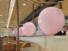 -海底捞火锅(新松江路生日主题店)