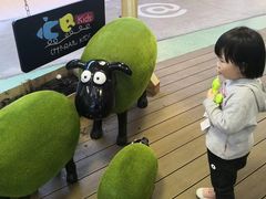 -凯德广场(学府店)