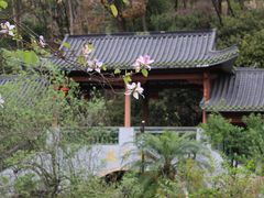 -广州神农草堂中医药博物馆