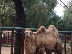 -祥源·阜阳生态乐园