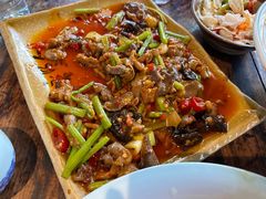 -青城甲(青城山店)