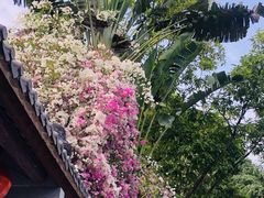 -深圳国际园林花卉博览园