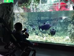 -常州海昌海洋探索馆
