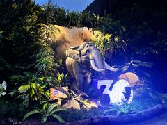 -夜间野生动物园