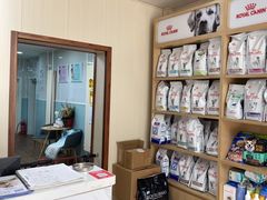-中农大我爱我爱24h动物医院·中医针灸·猫专科·骨科医疗中心(双井店)
