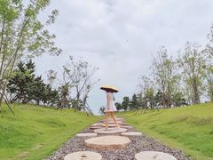 -小麦岛公园
