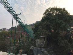 -清境桃源