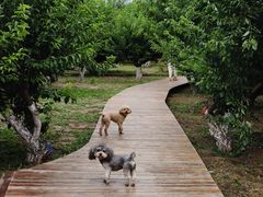 -北国之春国宴(乌兰察布店)