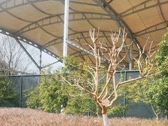-杭州城北体育公园