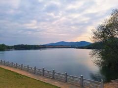 -佛手湖郊野公园