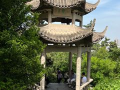 -昆山城市生态森林公园