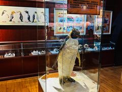 -海合安武汉极地海洋公园
