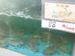 -源海渔村·现捞海鲜(大角湾店)