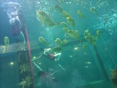 -洛阳龙门海洋馆