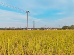 -嘉北郊野公园