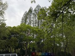 -杭州西湖风景名胜区-满觉陇四眼井