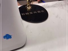 -和颐至尚酒店(上海陆家嘴浦电路地铁站店)