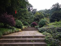 -杭州西湖风景名胜区-三生石