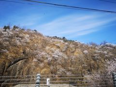 -妙峰山风景名胜区