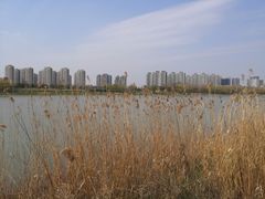 -南京眼步行桥