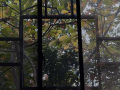 -西安国际创新人才交流中心•药浴温泉