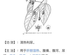 -蚝得喜海鲜(东城店)