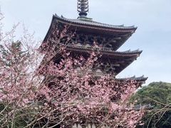 -醍醐寺