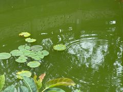 -房湖公园