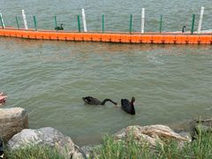 -天津东丽湖风景区