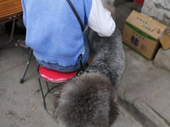 -吕家米皮