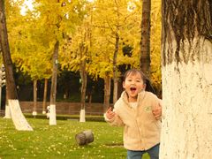 -重庆市江北嘴中央商务区中央公园