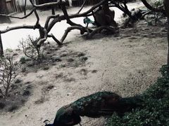 -无锡动物园·太湖欢乐园