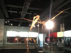 -墨尔本博物馆(Melbourne Museum)
