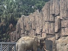 -成都动物园