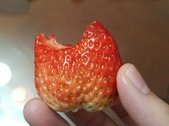 -鹅最好(南光店)