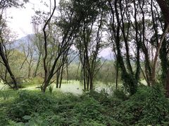 -西湖风景区-江洋畈生态公园