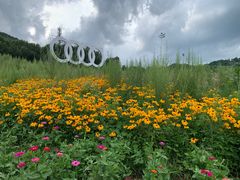 -长白山万达喜来登度假酒店