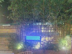 -芸鲜季·云南野生菌餐厅· 云南风物味研社(闵行店)