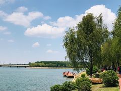 -丁香湖公园