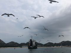 -海驴岛(荣成市)